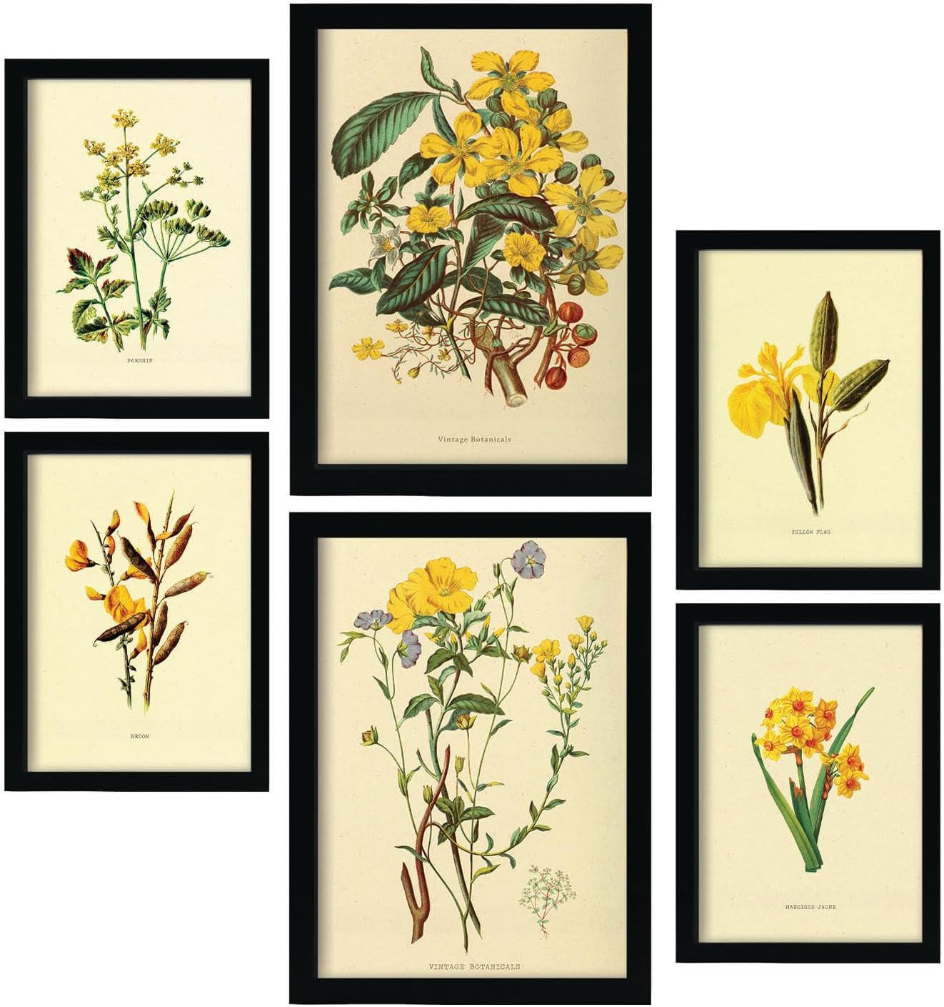POSTER Set Mit 6 Gelbe Blumen 2 In Vintage A3 & A4 Schwarzer Rahmen - Schwarz, Papier (29/3cm) - Nacnic