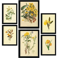 POSTER Set Mit 6 Gelbe Blumen 2 In Vintage A3 & A4 Schwarzer Rahmen - Schwarz, Papier (29/3cm) - Nacnic