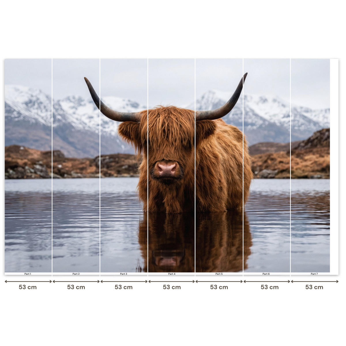 TAPETE - Schottischer Hochländer - Braun - Wasser - 350x240 cm - Braun, Papier (350/240cm) - OnlyWow