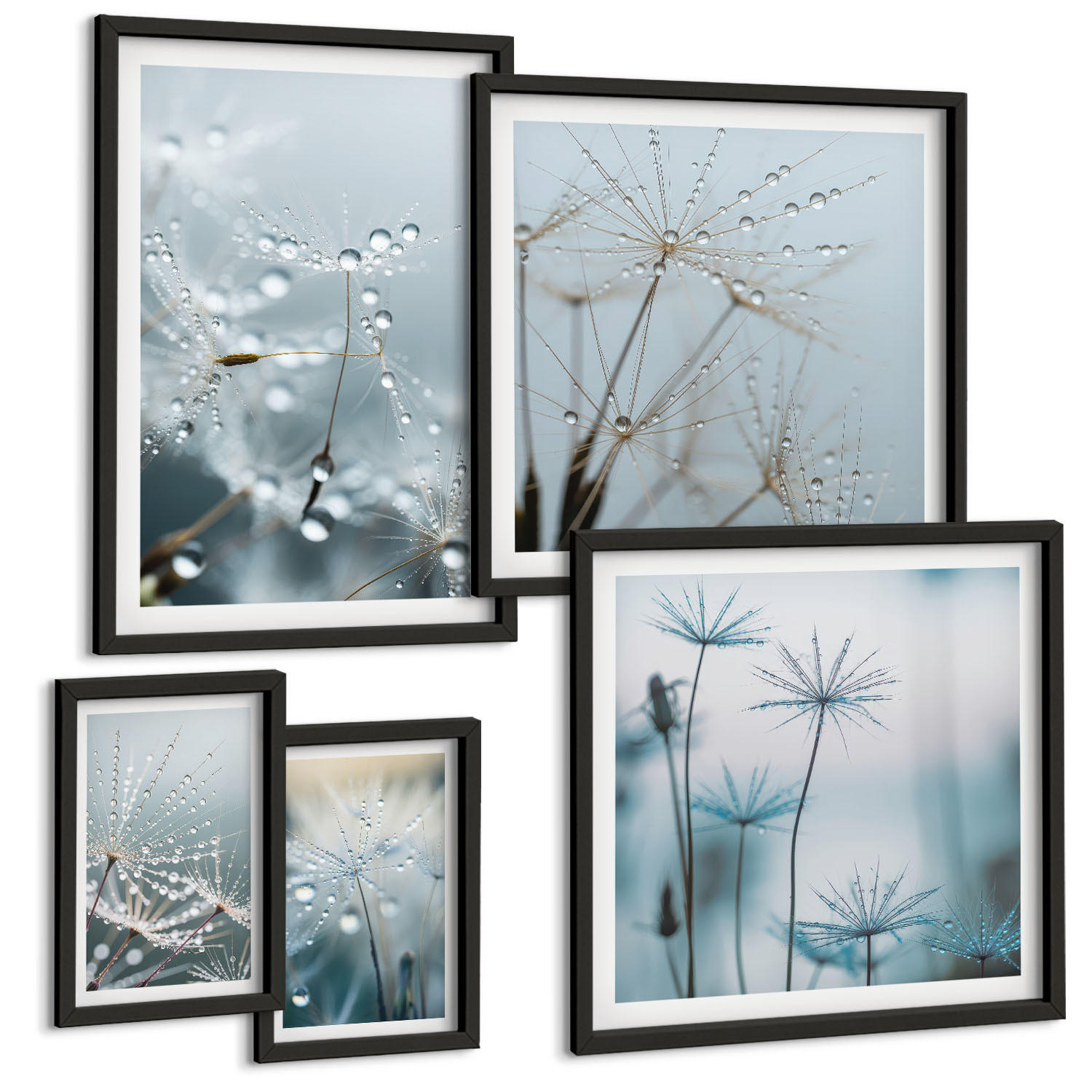 BILDER SET 5er Set - 50x50 cm & 20x30 cm & 40x60 cm Schwarzer Rahmen - Wassertropfen auf Löwenzahnsprossen - Schwarz, Kunststoff (40/60cm) - TULUP