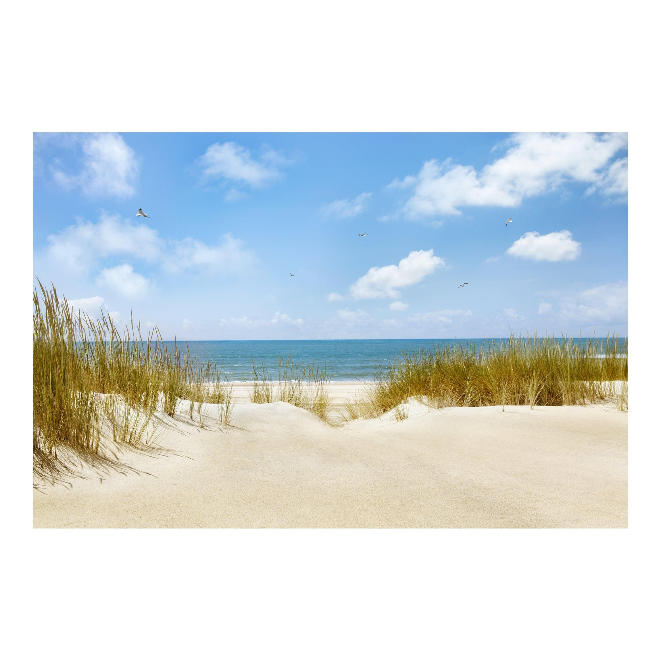 FOTOTAPETE Strand an der Nordsee 336/225 cm - Eichefarben, Papier (336/225cm) - Bilderwelten