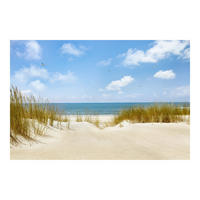 FOTOTAPETE Strand an der Nordsee 288/190 cm - Eichefarben, Papier (288/190cm) - Bilderwelten