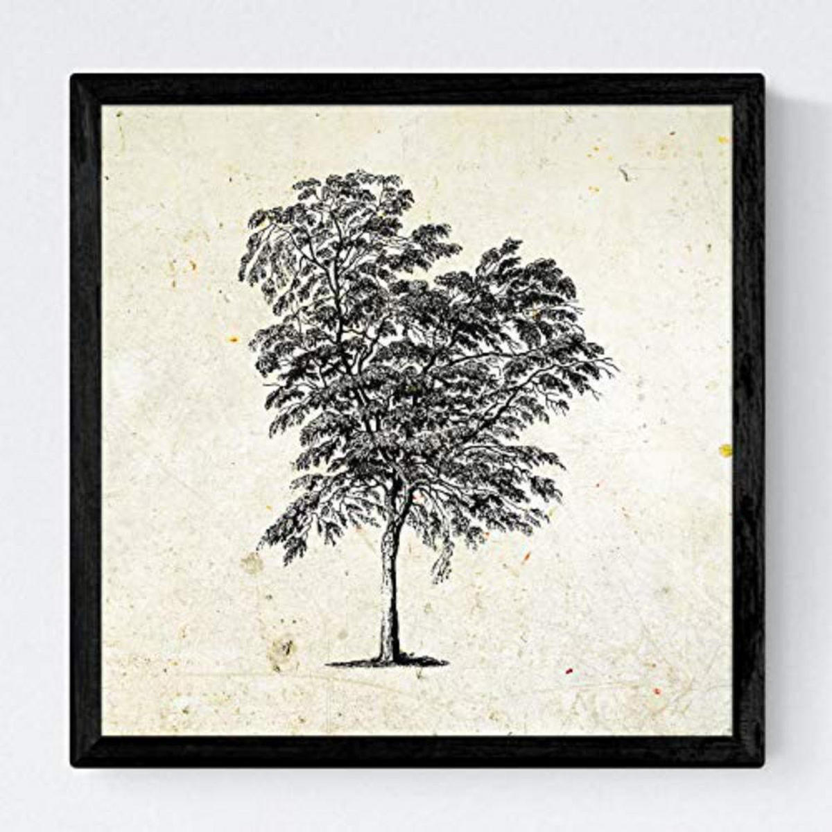 POSTER Set mit 4 Bädern Bäume verschiedene Blätter Weinlese Altpapierhintergrund 30x30 cm Rahmenlos - Klar, Papier (30/3cm) - Nacnic