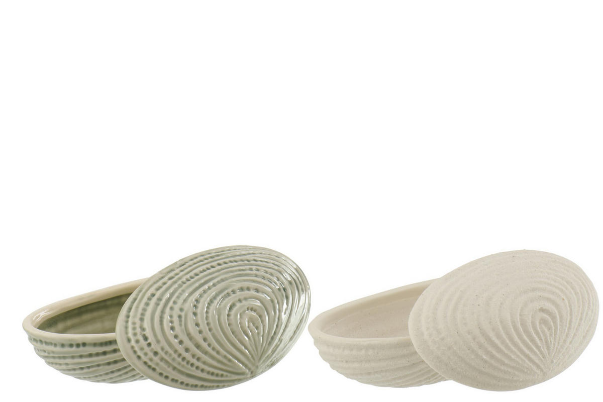 DOSE MUSCHEL (2ER SET) - Weiß, Keramik (7.5/5.5/14.4cm) - J-Line
