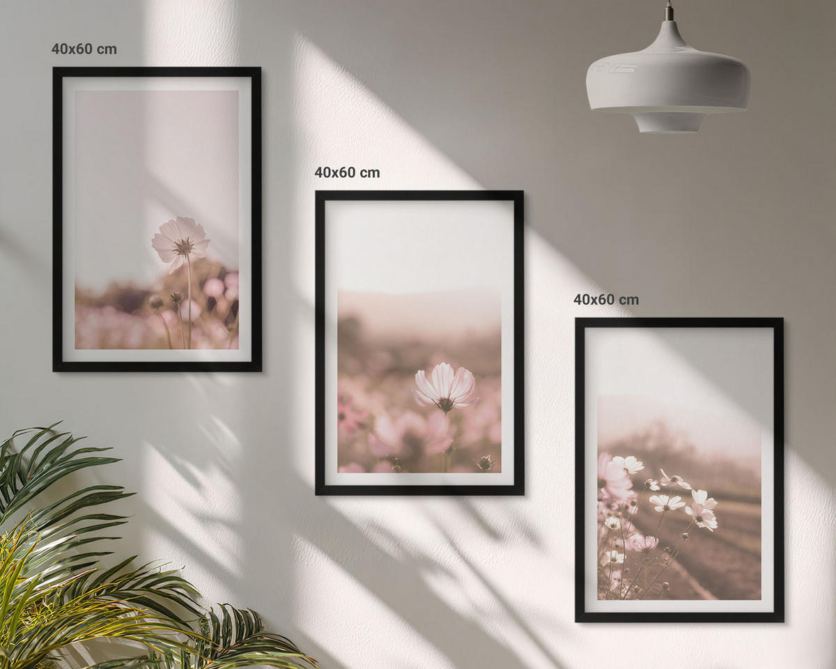 BILDER SET 3er Set - 40x60 cm Schwarzer Rahmen - Sommerlandschaften mit Wildblumenwiesen - Schwarz, Kunststoff (40/60cm) - TULUP