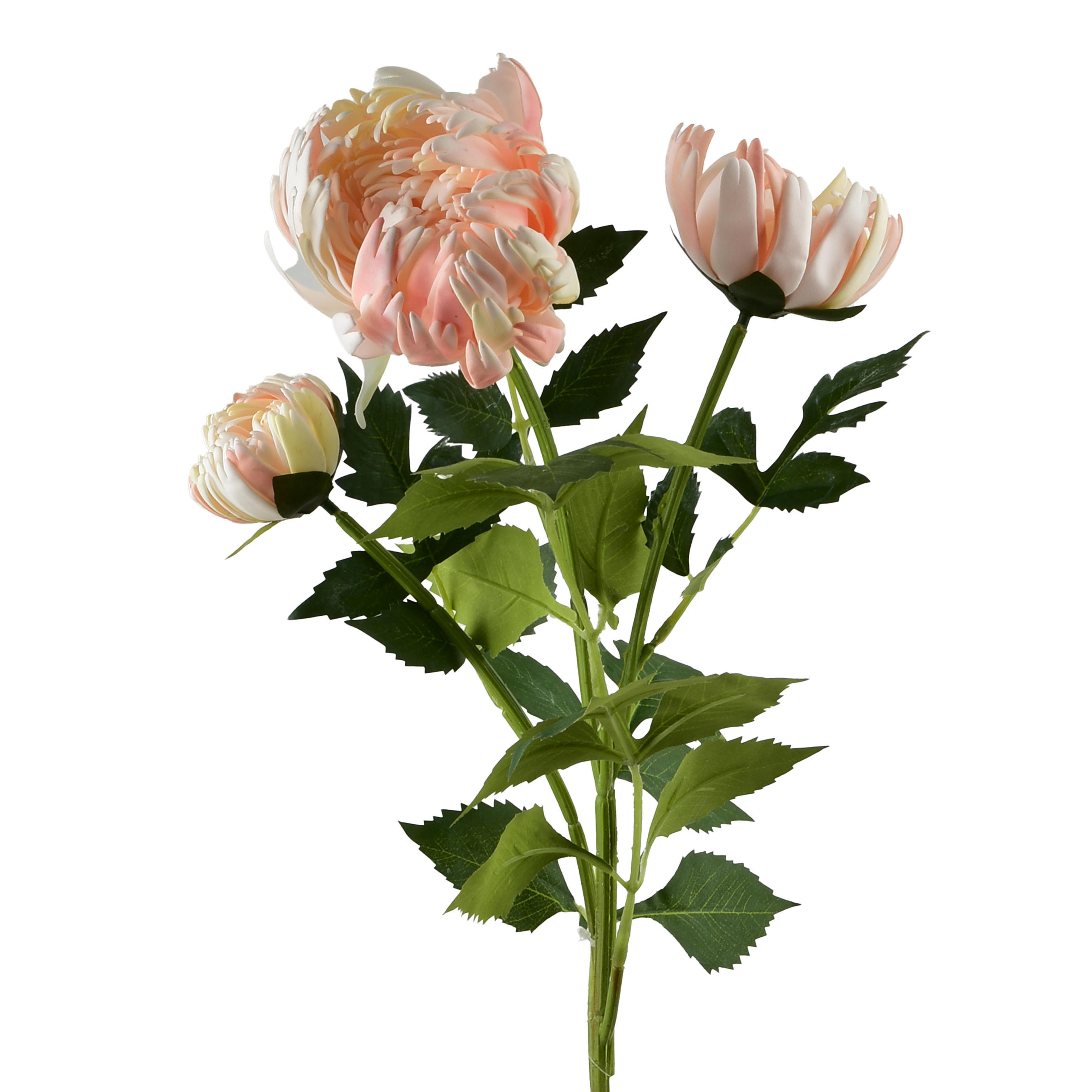UMELÁ CHRYZANTÉMA Viridis 3 ks 70 cm - zelená, plast (70cm) - Mondex