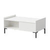 COUCHTISCH Liam 100 x 60 Weiß (rechteckig) - Schwarz/Weiß, Holzwerkstoff/Metall (60/100/45cm) - mzm24
