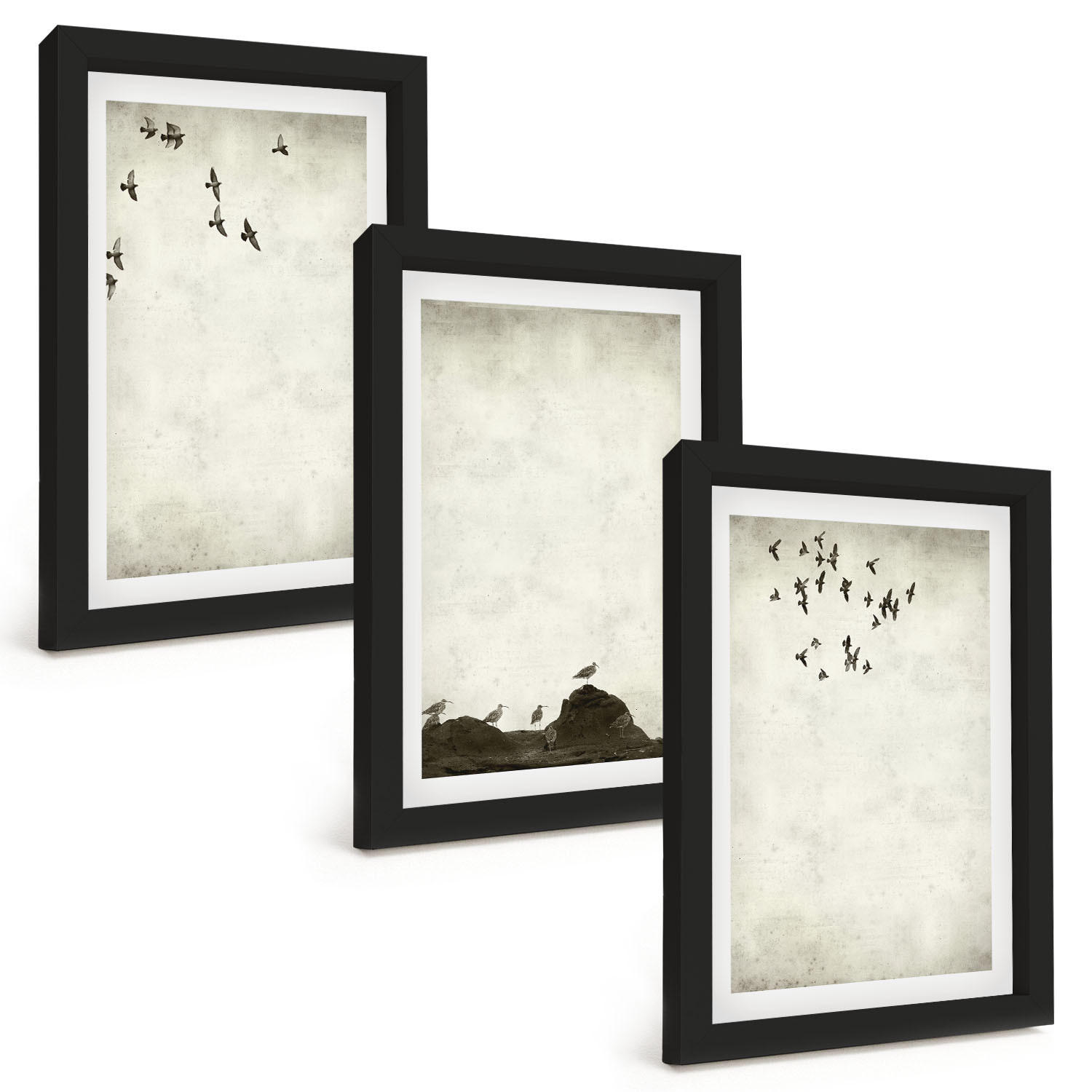 BILDER SET 3er Set - 20x30 cm Schwarzer Rahmen - Fliegende Vögel Minimalismus - Schwarz, Kunststoff (20/30cm) - TULUP