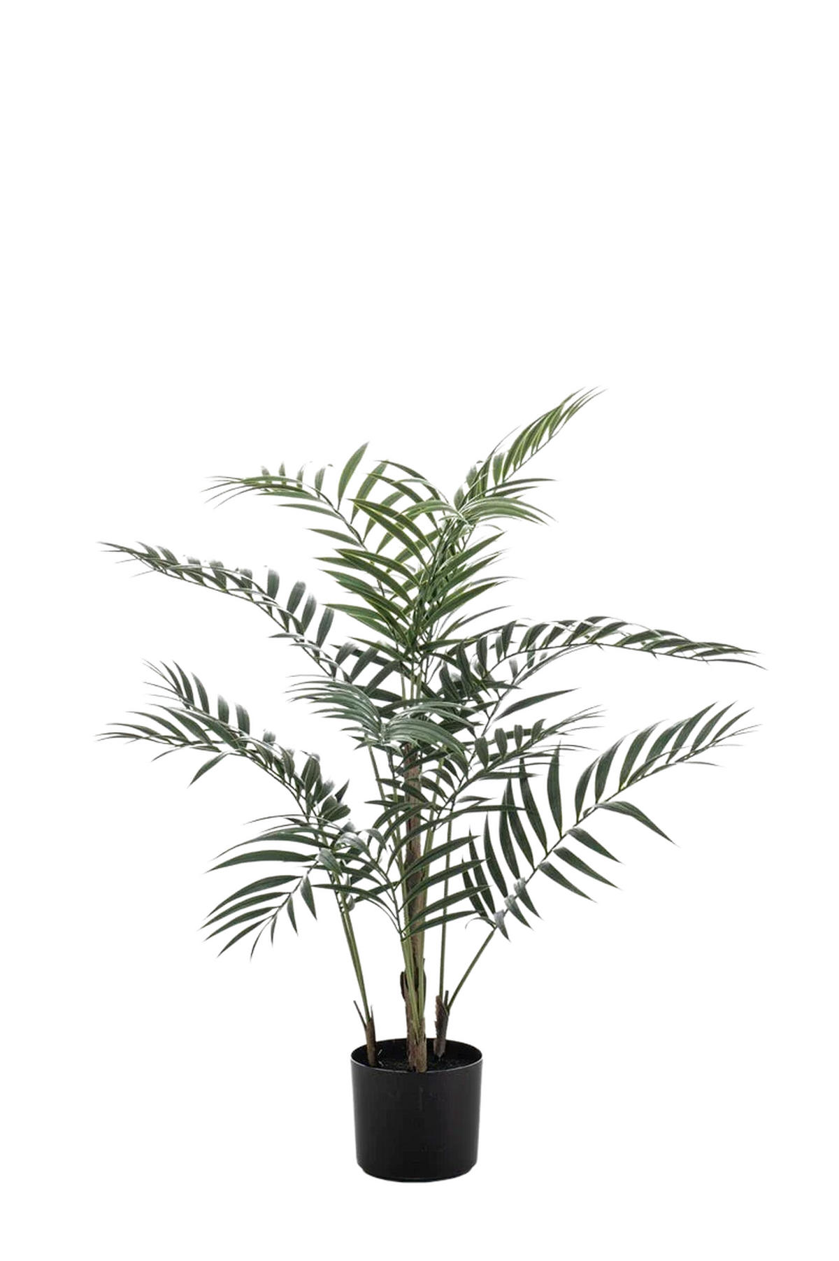KÜNSTLICHE Palme - Denver 90 cm - Grün, Kunststoff (90cm) - Emerald