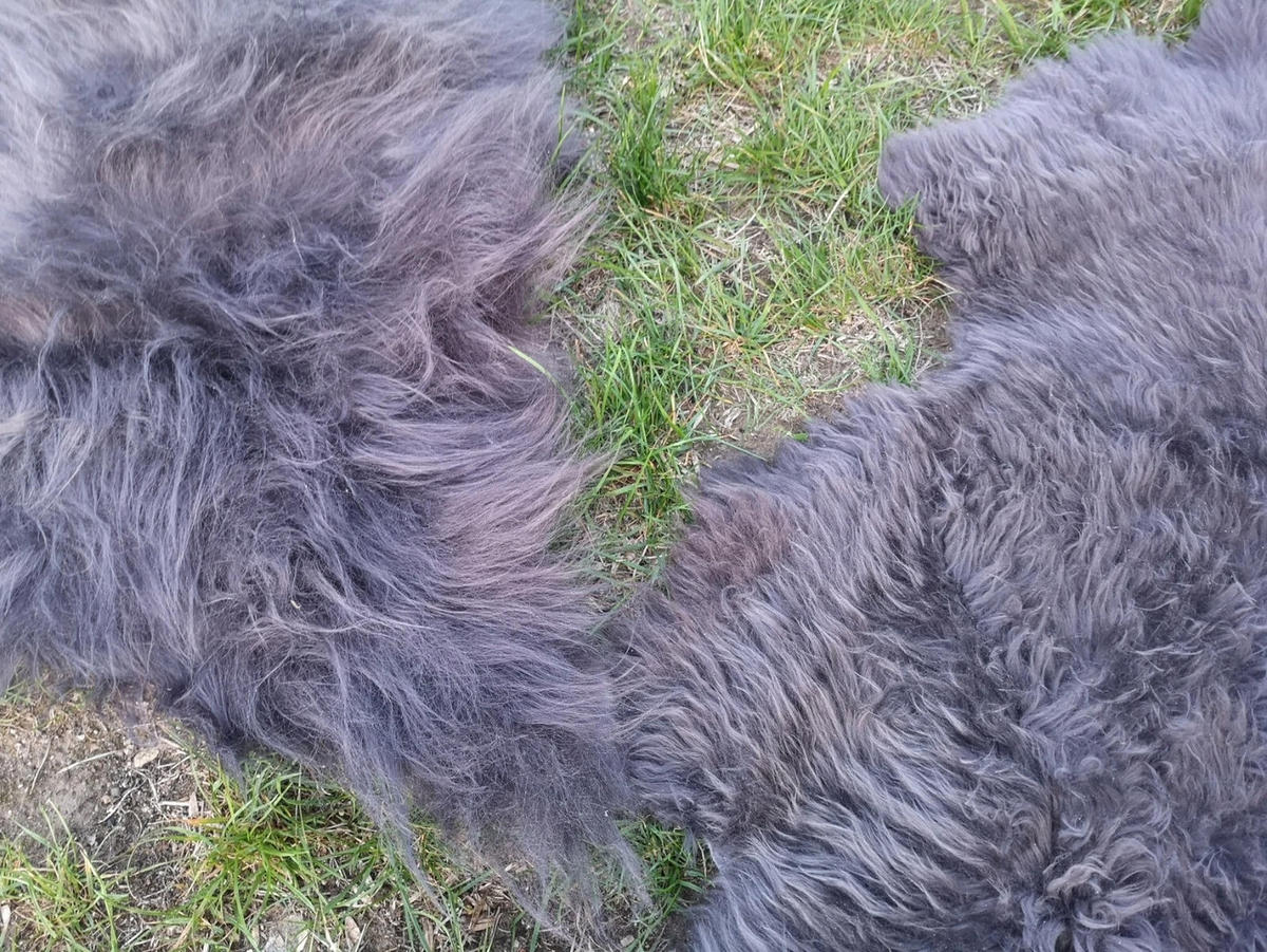 LAMMFELL Öko Schaffell grau langhaar 2. Wahl Teppich ca. 125 cm - Dunkelgrau/Grau, Fell (75/125cm) - Provellus