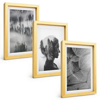 BILDER SET 3er Set - 20x30 cm Goldrahmen - Waldnebelporträt Baum Löwenzahn - Goldfarben, Kunststoff (20/30cm) - TULUP