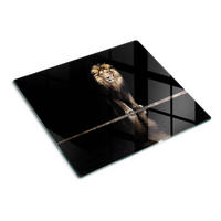 GLASPLATTE 60x52 cm Porträt eines Löwen - Braun, Glas (60/0.4/52cm) - TULUP