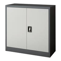AKTENSCHRANK Molise - Grau, Metall (90/90/40cm) - [en.casa]