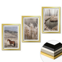 WANDBILDER 3er Set - 20x30 cm Goldrahmen - Pferde, Landschaft, Gras, Bach - Goldfarben, Kunststoff (20/30cm) - ArtPrintCave