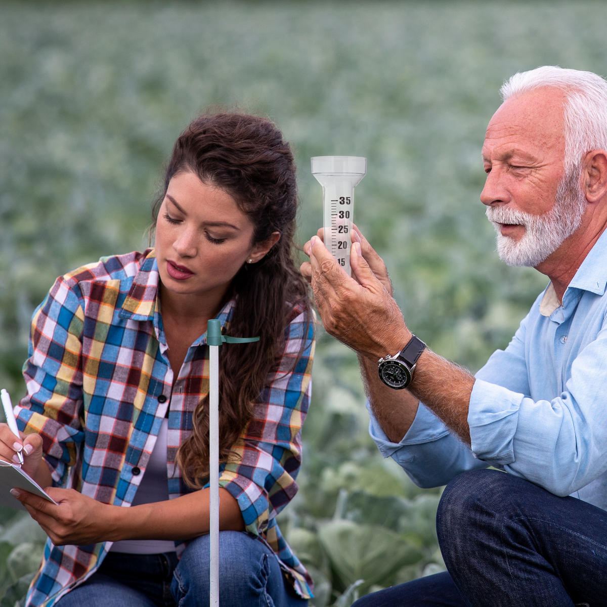 2XREGENMESSER - Transparent, Kunststoff (1.6/24.5cm) - Relaxdays