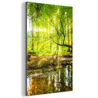 METALLBILD Wald - Landschaft - Wasser - Bäume - Sonne - Grün - Natur 40x60 cm - Grün, Metall (40/60cm) - MuchoWow