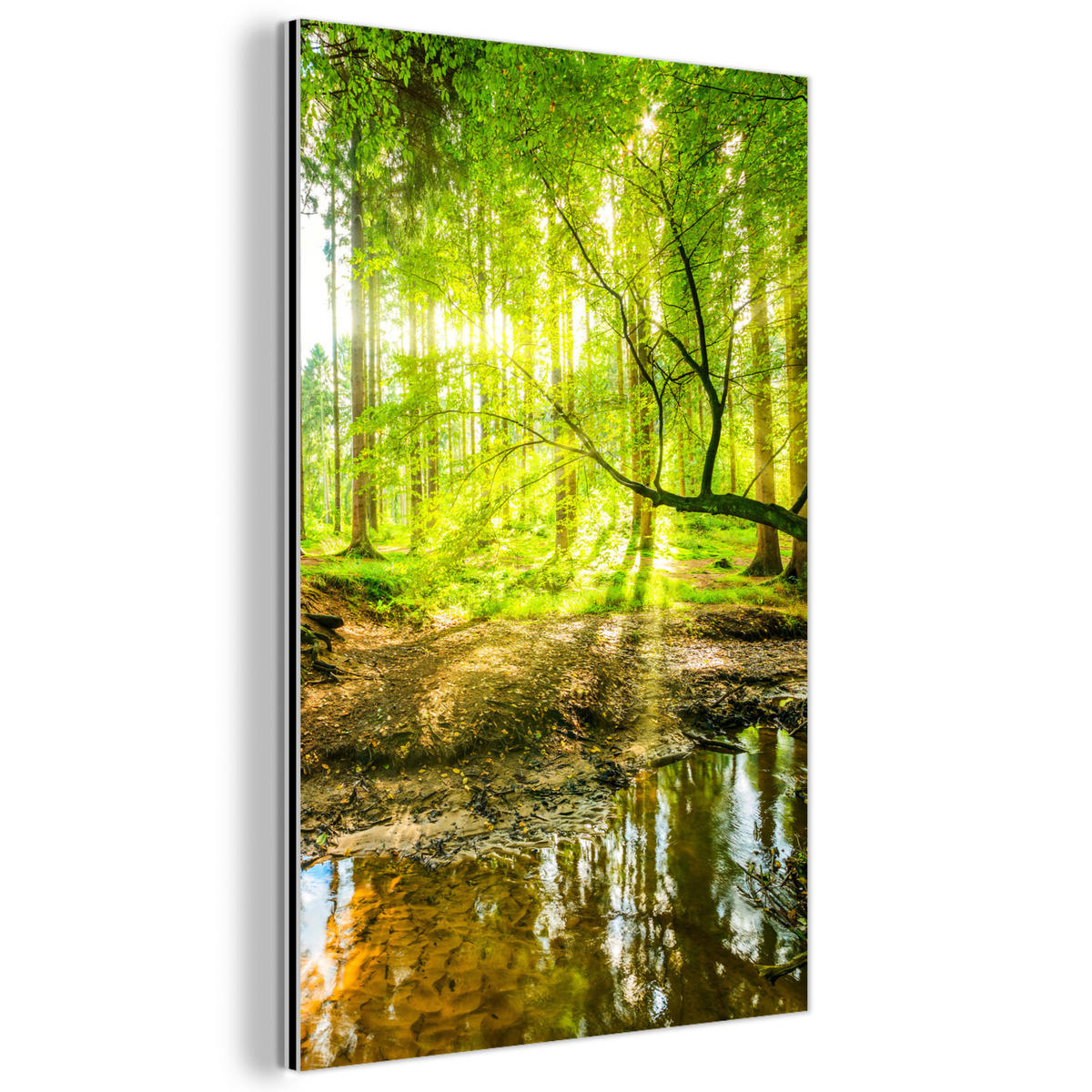METALLBILD Wald - Landschaft - Wasser - Bäume - Sonne - Grün - Natur 40x60 cm - Grün, Metall (40/60cm) - MuchoWow