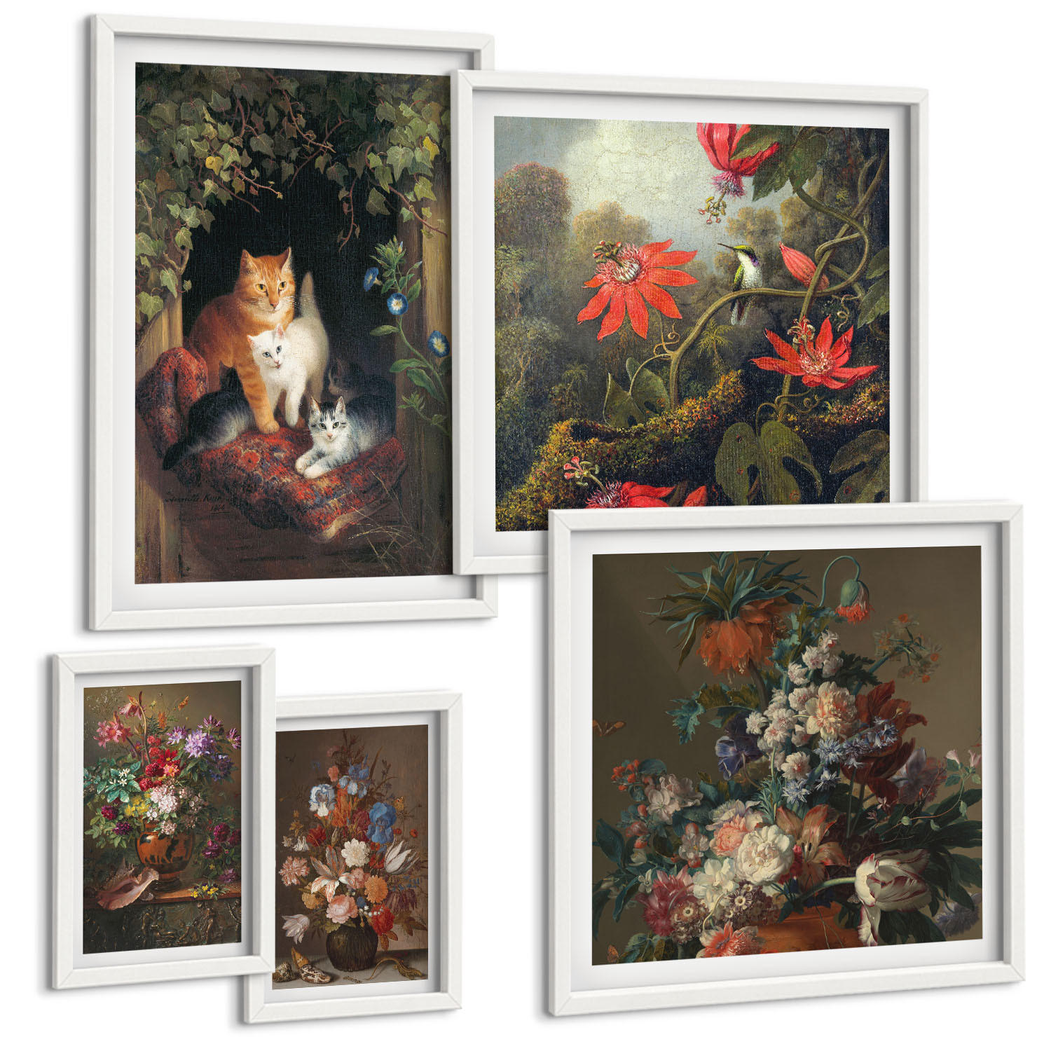 BILDER SET 5er Set - 50x50 cm & 20x30 cm & 40x60 cm Weißer Rahmen - Vintage-Blumen, Katzen, Pflanzen - Weiß, Kunststoff (40/60cm) - TULUP