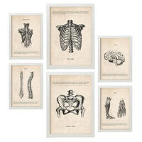 POSTER Set Mit 6 Von Kopf Bis Fuß Medizinische Illustrationen Im Vintage Stil Von Anatomie, Körperteilen, Knochen Und Muskeln A3 & A4 Weißer Rahmen - Weiß, Papier (29/3cm) - Nacnic