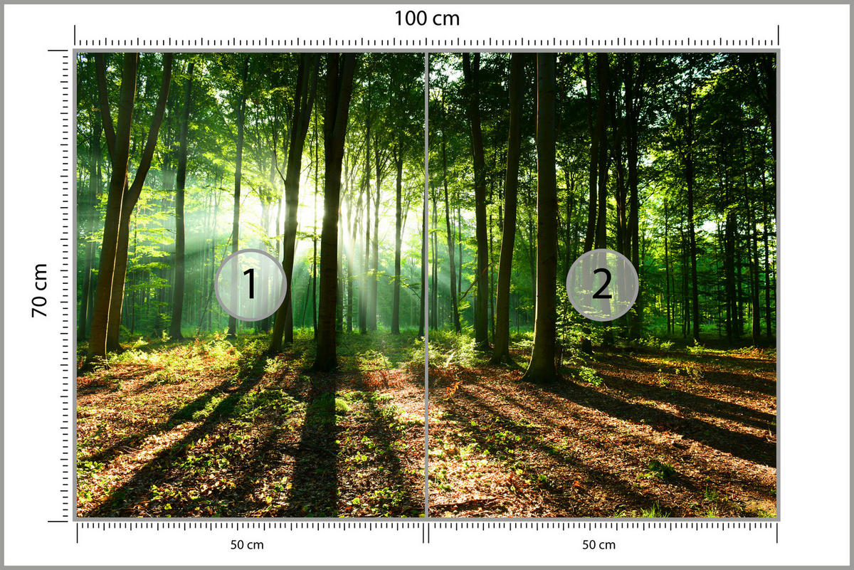 FOTOTAPETE für Wohnzimmer Sonnenstrahlen Wald Bäume Blätter 100x70 - Beige/Braun, Papier (100/70cm) - Muralo