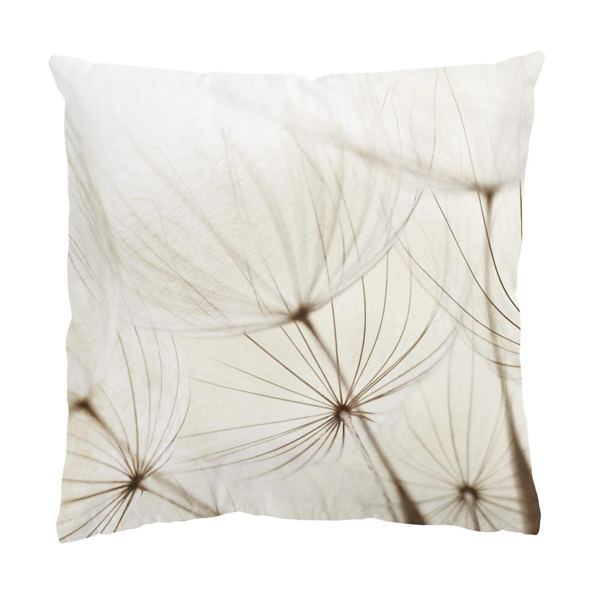 DEKOKISSEN Sanfte Gräser 40/40 cm - Eichefarben, Textil (40/40/10cm) - Bilderwelten