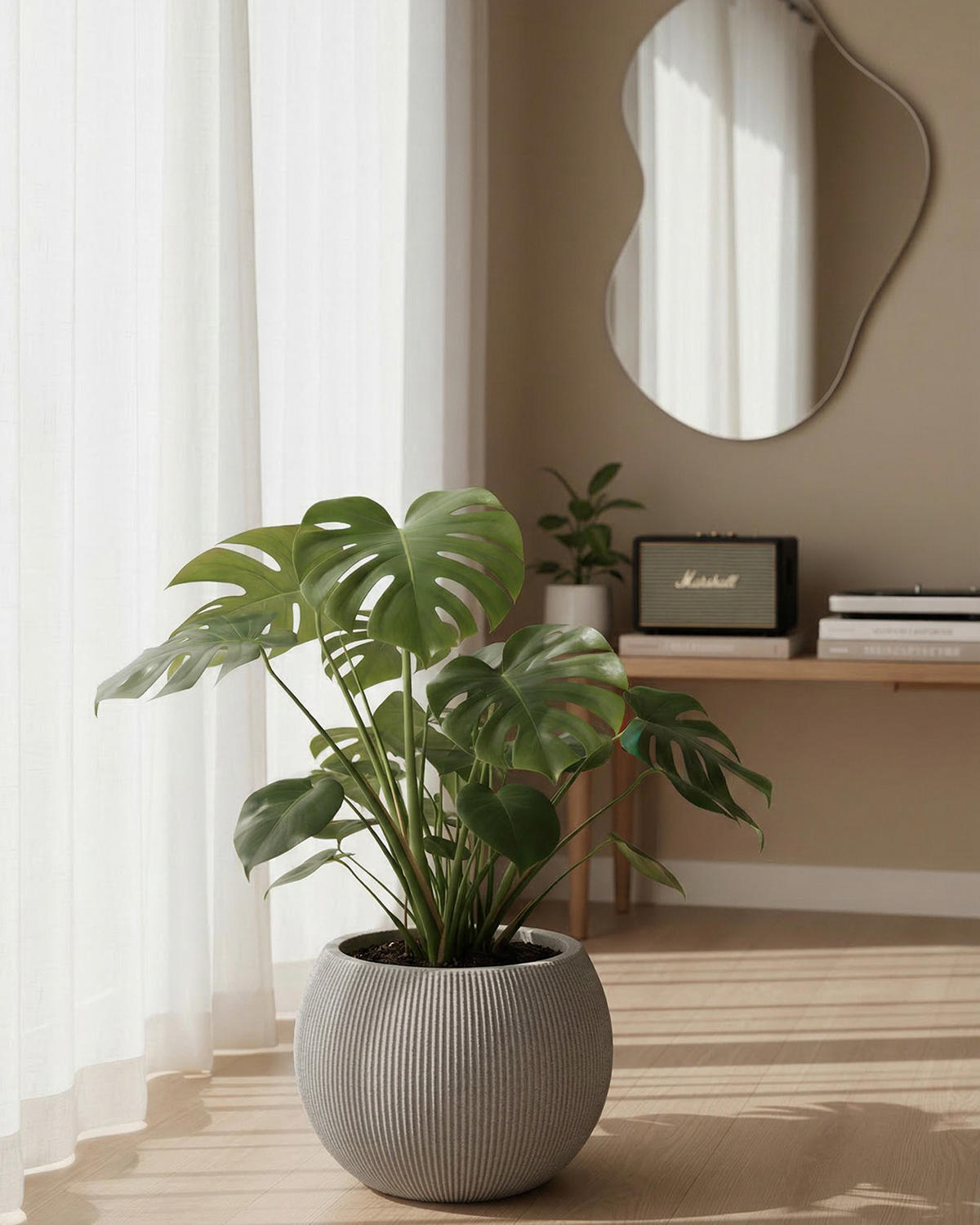 BLUMENTOPF Grau ROTONDO M 37x37x30 cm - Grau, Kunststoff (30cm) - Mazovia