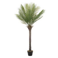 KUNSTPFLANZE Palme - Anthrazit/Grün, Holz/Kunststoff (150cm) - ML-DESIGN