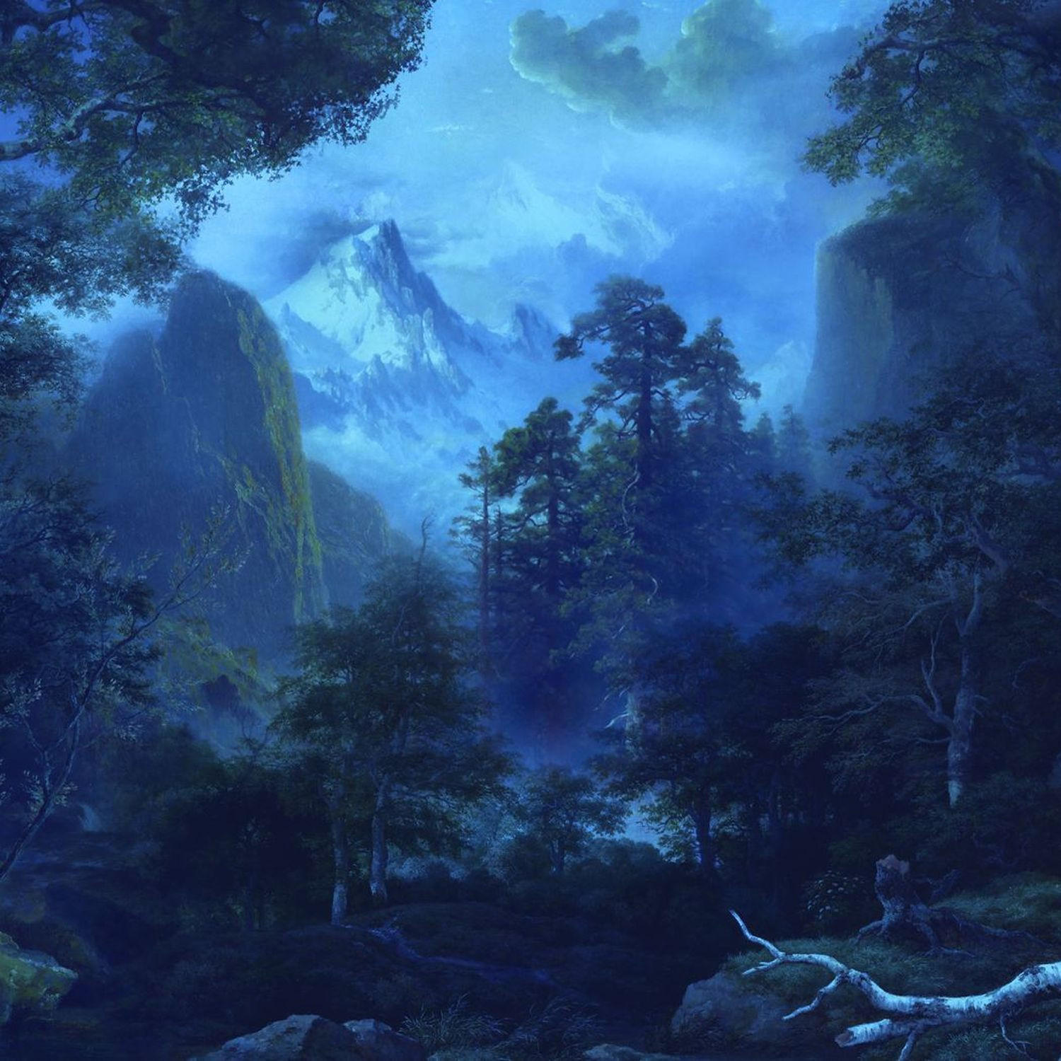 FOTOTAPETE dunkler Wald 400 x 280 cm - Blau, Papier (400/280cm) - Sanders & Sanders
