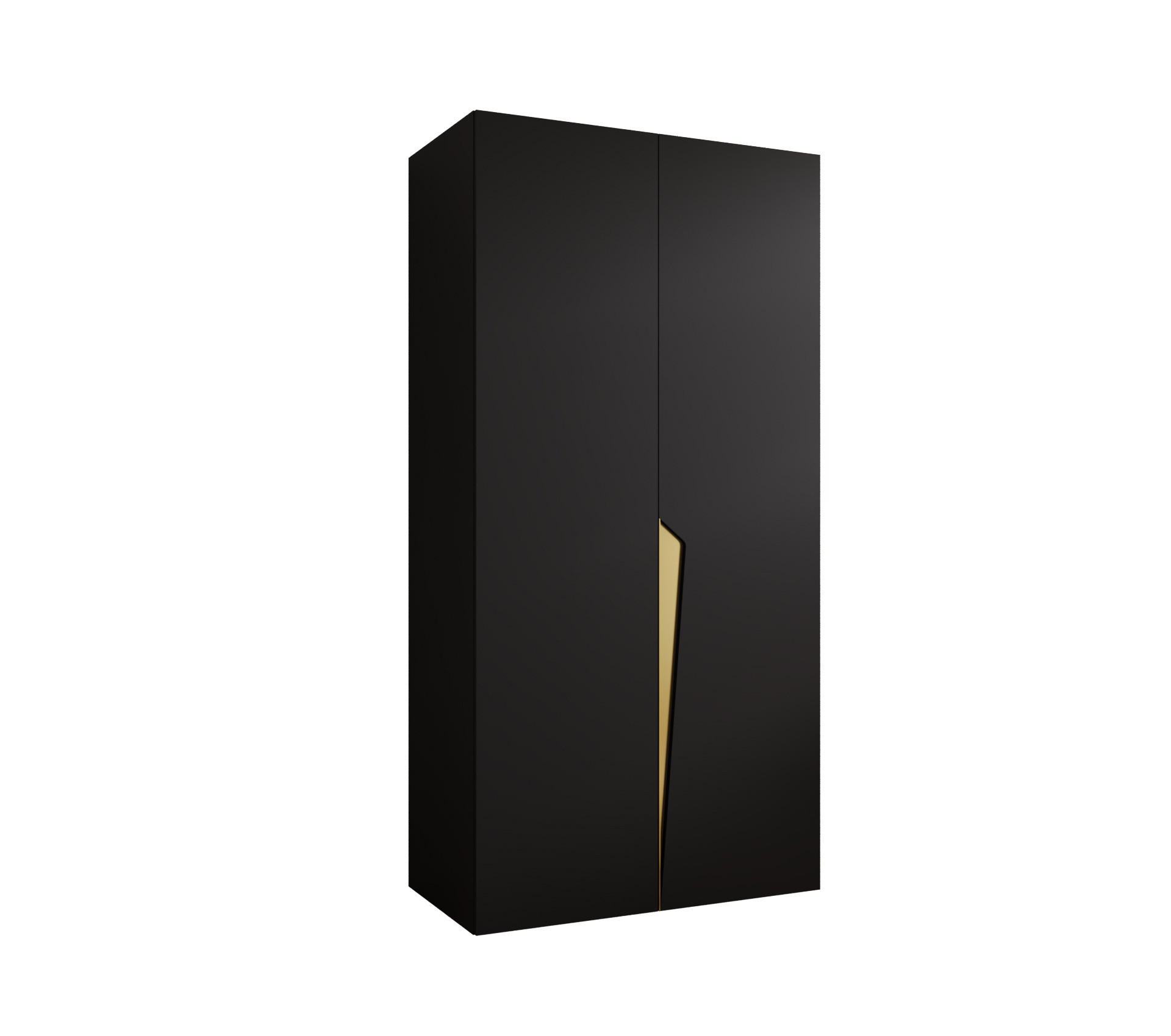 DREHTÜRENSCHRANK 202/100/52 2-türig - Goldfarben/Schwarz, Holz/Metall (100/202/52cm) - Abiks Möbel