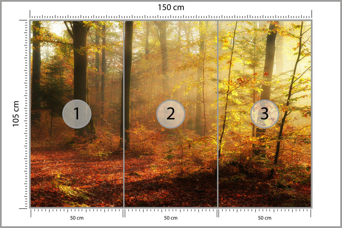 FOTOTAPETE für Wohnzimmer Herbstnebel Laubwald Bäume 150x105 - Gelb/Rot, Papier (150/105cm) - Muralo