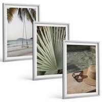 BILDER SET 3er Set - 40x60 cm Silberner Rahmen - Strandschaukel-Blätterurlaub - Silberfarben, Kunststoff (40/60cm) - TULUP