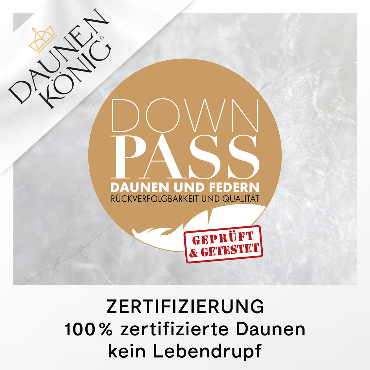 SOMMERBETTDECKE QUEEN Entendaunen leicht - Weiß, Naturmaterialien/Textil (200/220cm) - Daunenkönig