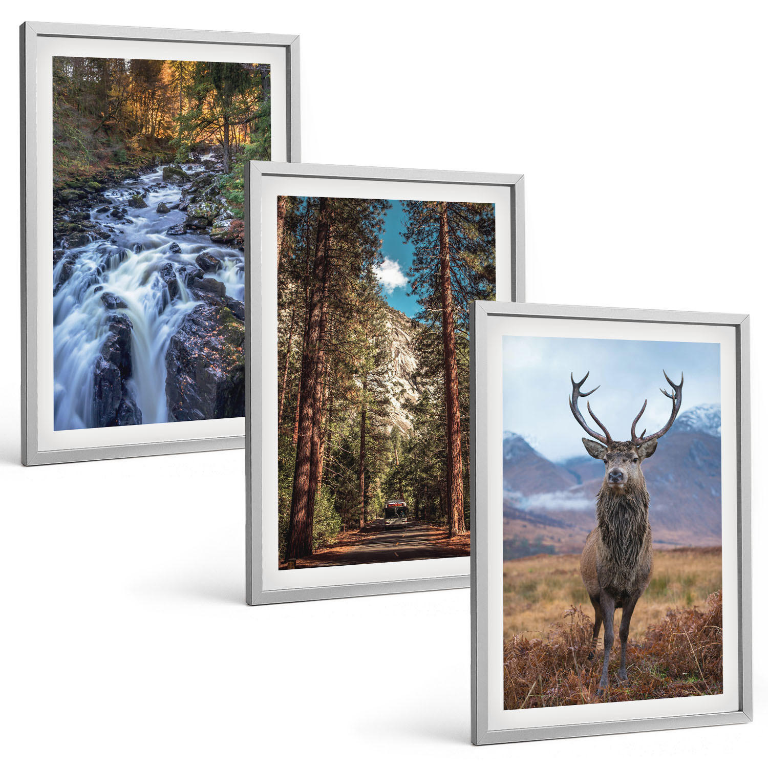 BILDER SET 3er Set - 40x60 cm Silberner Rahmen - Wasserfall Wald Berge Hirsch Natur - Silberfarben, Kunststoff (40/60cm) - TULUP