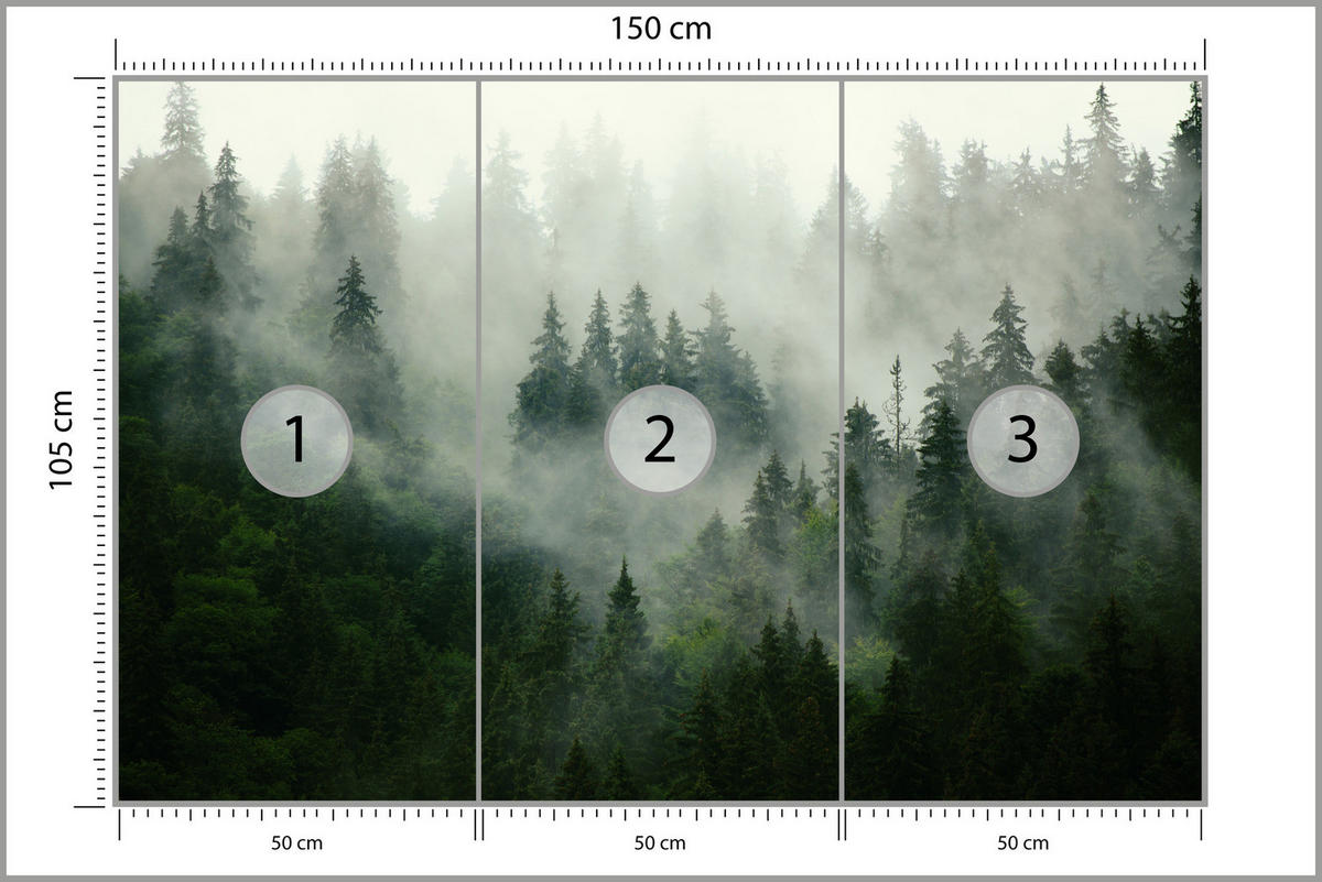 FOTOTAPETE Wald im Nebel Natur Landschaft 3D 150x105 - Grau/Grün, Papier (150/105cm) - Muralo
