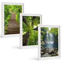 BILDER SET 3er Set - 40x60 cm Weißer Rahmen - Pfad Wald Wasserfall Vegetation - Weiß, Kunststoff (40/60cm) - TULUP