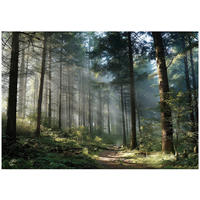 VLIESTAPETE Wald 3D Effekt Natur Schlafzimmer 150x105 - Multicolor, Papier (150/105cm) - Wallarena
