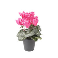 KUNSTBLUME Künstliches Alpenveilchen - Magdalena 25 cm - Grün, Kunststoff (25cm) - Emerald