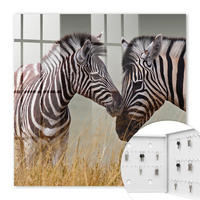SCHLÜSSELBOX Weiß 30x30 cm – Türöffnung nach rechts - Zebras zusammen - Multicolor, Metall (30/30/5cm) - TULUP