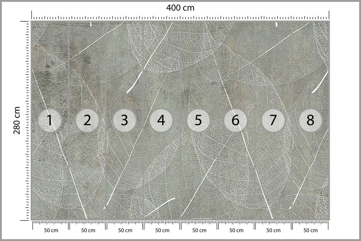 FOTOTAPETE für Schlafzimmer Weiße Blätter auf Beton 400x280 - Weiß/Grau, Papier (400/280cm) - Muralo