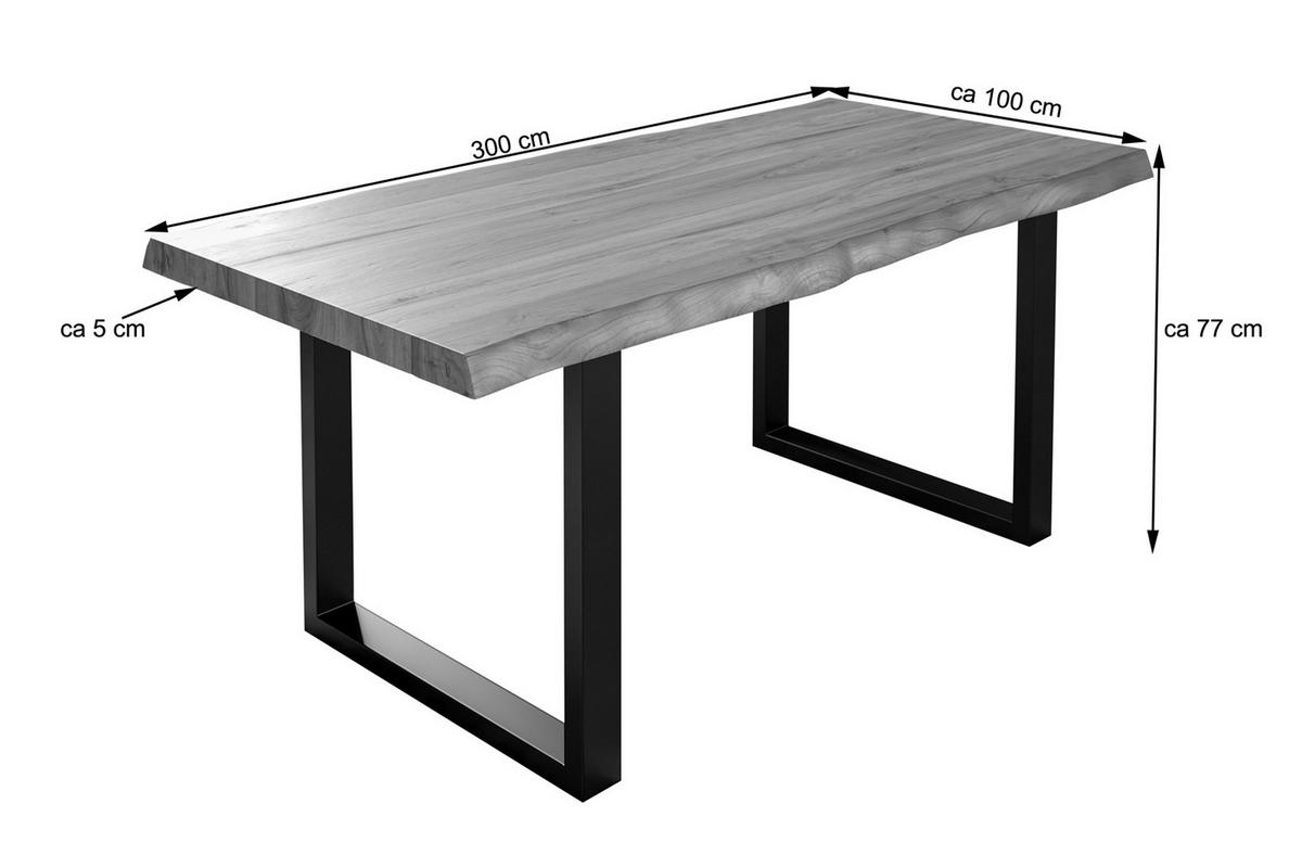 ESSTISCH UTRECHT - Beige/Schwarz, Holz/Metall (100/300/79cm) - SAM