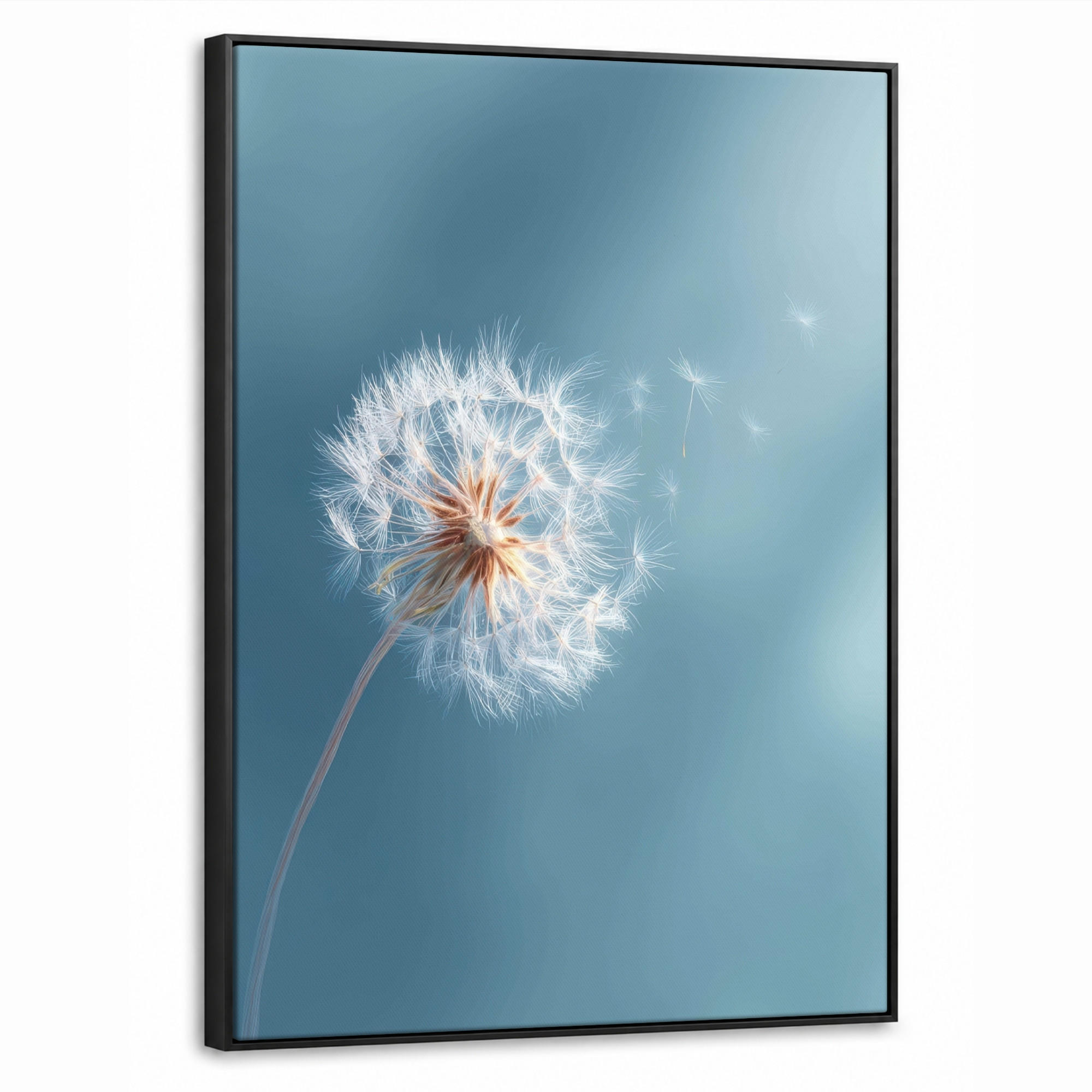 LEINWAND Bilder mit Rahmen - Löwenzahn - Wind - Blau - 50x70 - Blaugrau, Textil (50/70cm) - MuchoWow