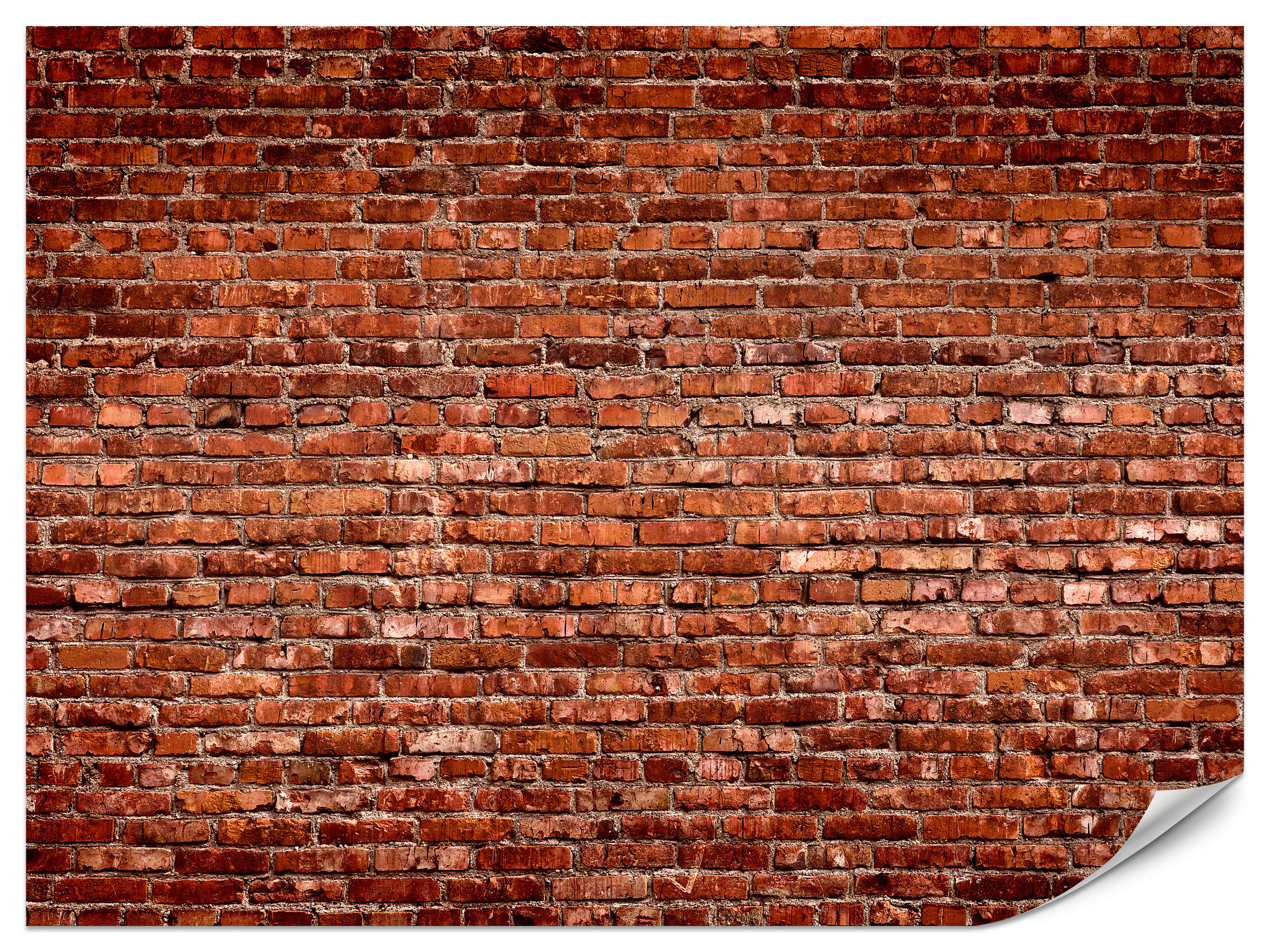 FOTOTAPETE für Wohnzimmer Alte Rote Ziegelwand Rustikal 300x210 - Rot/Orange, Papier (300/210cm) - Muralo