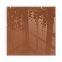 GLASPLATTE für Kamin 50x50 cm - Braun, Glas (50/50/0.4cm) - TULUP