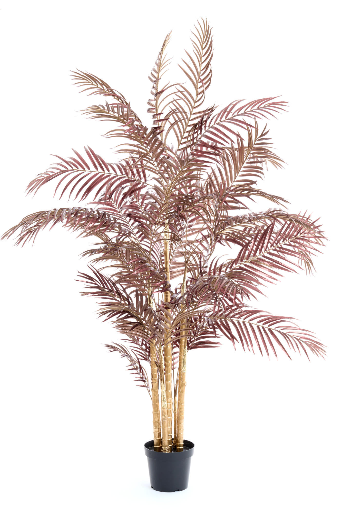TOPF Palme Rot 198/160/198 cm - Rot, Kunststoff (198cm) - Light & Living