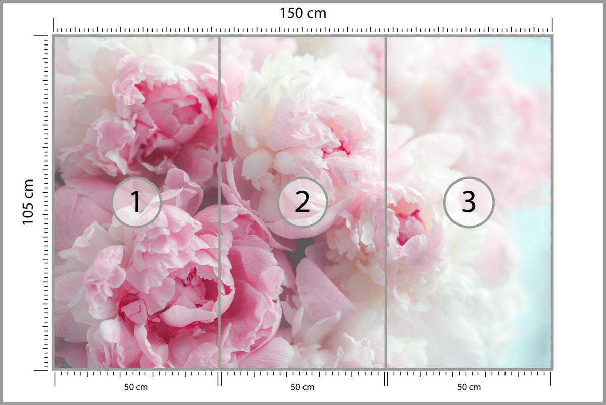 FOTOTAPETE Blumen Pfingstrosen Natur 3D 150x105 - Blau/Rosa, Papier (150/105cm) - Muralo