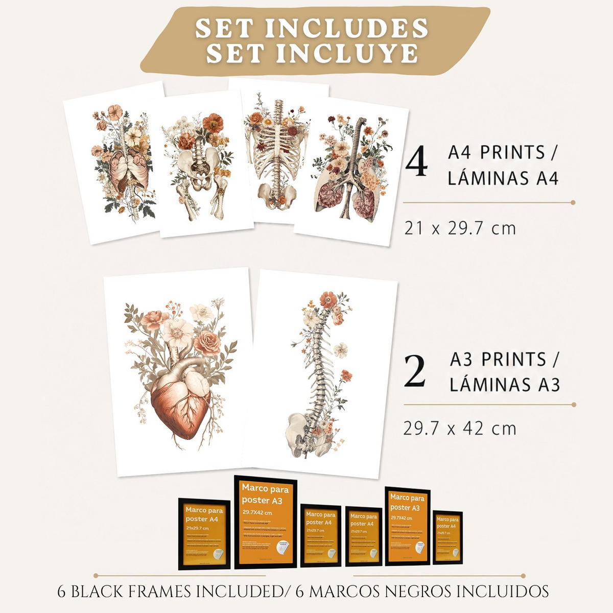 POSTER Set aus 6 Anatomie Mensch Florale Aquarell Drucke und mit Gehirn Lungen Skelett Nieren und Organen Botanische Größe Schwarzer Rahmen A3 & A4 - Schwarz, Papier (21/29.7/3cm) - Nacnic