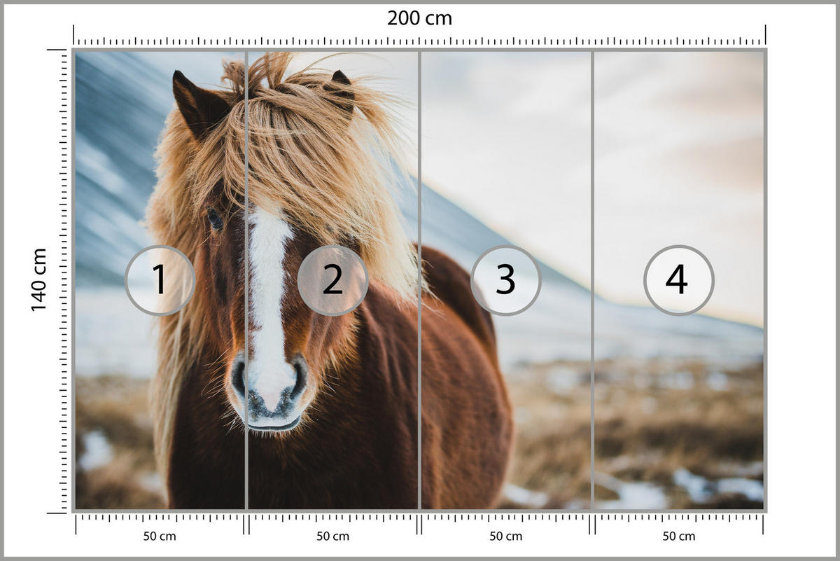FOTOTAPETE für Schlafzimmer Isländisches Wildpferd Portrait Wiese 200x140 - Beige/Braun, Papier (200/140cm) - Muralo