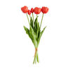 BLUMENSTRAUSS Tulipanis - Rot, Kunststoff (6cm) - home&you