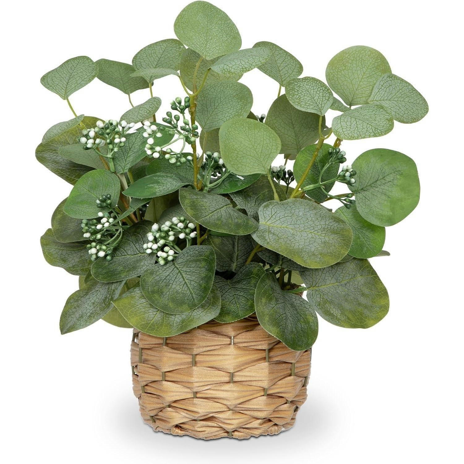 KUNSTPFLANZE Eukalyptus im Topf 32 cm Grün - Grün, Kunststoff (32cm)