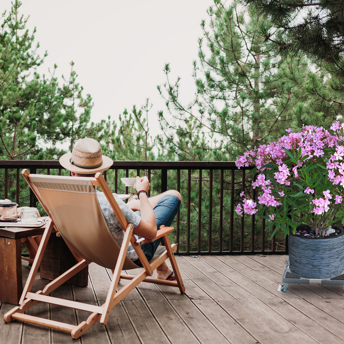 PFLANZENROLLER - Multicolor, Kunststoff/Metall (44/10.5/44cm) - Relaxdays